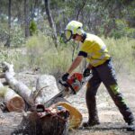 How to Become a COSHH Training Course Expert: Your Guide