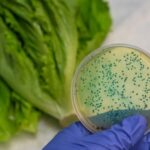 How to Become a Food Hygiene And Safety Expert Fast