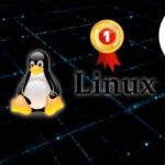 How to Become a Port Management Diploma: Your Career Path