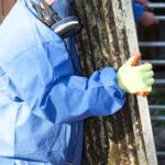 How to Become a Asbestos Awareness Training Expert