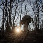 How to Become a Close Protection Expert: Step-by-Step Guide