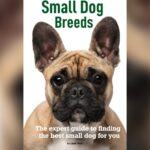 How to Become a Dog Grooming Course Expert: Top Tips