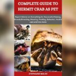 How to Become a Dog Health Care Expert: Ultimate Guide