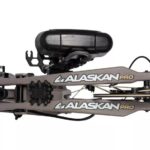 How to Become a Photography Pro: Expert Tips Unveiled