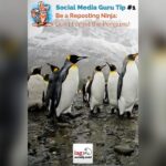 How to Become a Social Media Marketing Strategy Guru